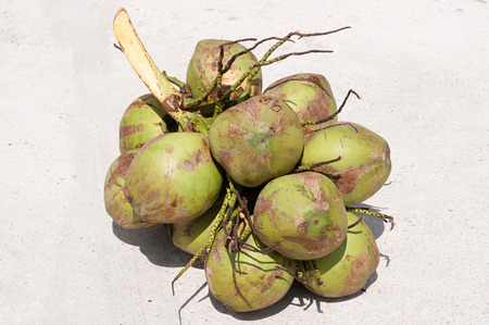 Green coconut isolated on white backgroundの写真素材