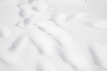 snowの写真素材