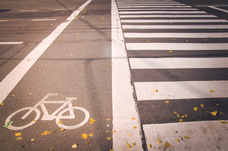 Mark of a bicycle zone and Pedestrian crossing, Japan