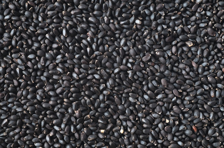 Basil seeds close up shot on white backgroundの写真素材