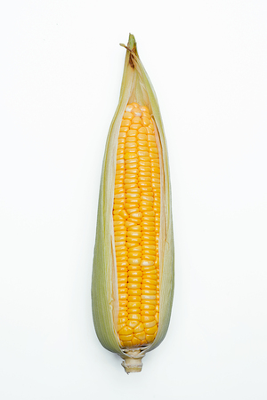 corn isolated on white background, closeup top viewの写真素材