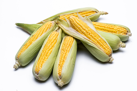 corn isolated on white background, closeup top viewの写真素材