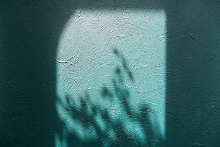 Abstract background and textured shadows leaf on a green concrete wall, Green colour cement loft...