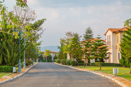 The road in the park is surrounded by greenery and trees.の写真素材