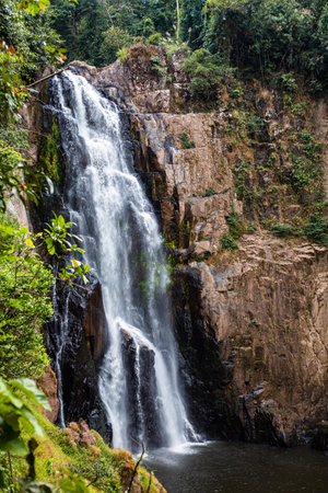 Natural waterfall in the middle of the forest trees growing aroundの写真素材