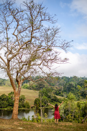 Young woman standing in the middle of the jungle with her arms outstretchedの写真素材