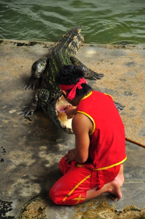 Crocodile show at Bangkok,Thailandのeditorial素材