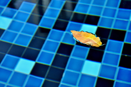 Pool blue with yellow leaves floating on the water.