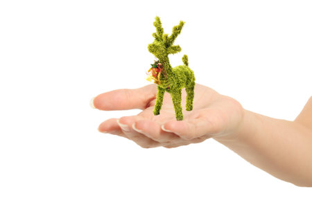 grass reindeer on hand isolated white backgroundの写真素材