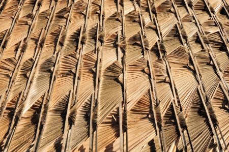 Asian thatch roof textureの写真素材
