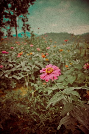 Vintage nature backgroundの写真素材
