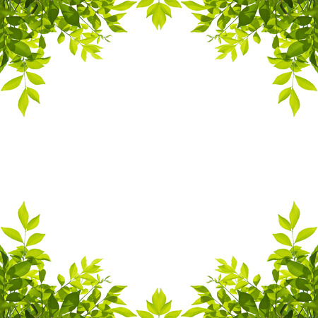 Green leaf border isolated on white background. Clipping paths included.