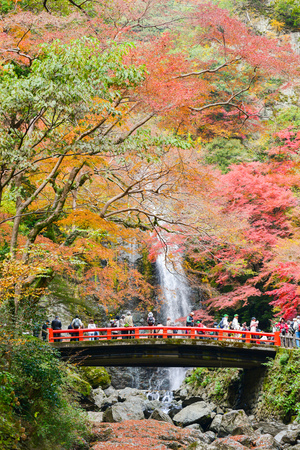 OSAKA, JAPAN -NOVEMBER 26, 2013: Mino waterfall full of tourists take photo in Autumn season Red Maple Leaf Fall Foliage, Minoo (Minoh or Mino) it is one of the best places in the Kansai, Osaka prefecture, Japanのeditorial素材