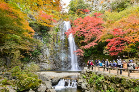 OSAKA, JAPAN -NOVEMBER 26, 2013: Mino waterfall full of tourists take photo in Autumn season Red Maple Leaf Fall Foliage, Minoo (Minoh or Mino) it is one of the best places in the Kansai, Osaka prefecture, Japanのeditorial素材