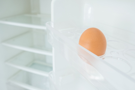 One egg in a fridge door, Shortageの写真素材