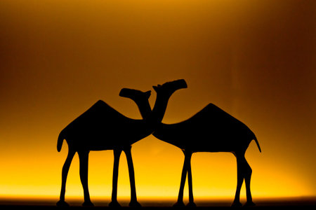 camel