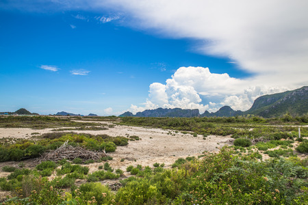 Sand and mountains.の写真素材