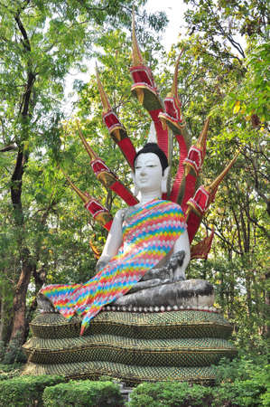 Buddha statueの写真素材
