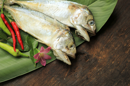 Rastrelligers on banana leafの写真素材