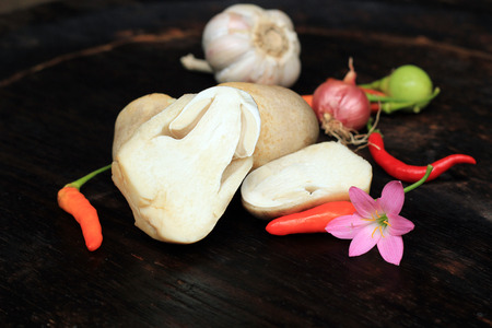 Mushroom with other ingredient of curry.の写真素材