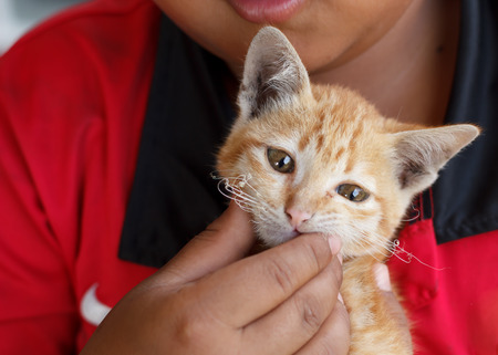 The boy holding kitten.の写真素材