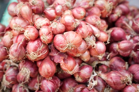 Shallot onions in a group.の写真素材