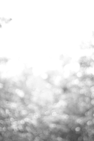 Gray filtered natural bokeh background.の写真素材