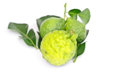 Bergamot on white background.の写真素材