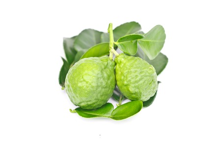 Bergamot on white background.の写真素材