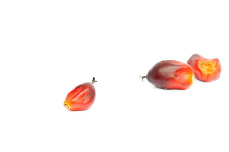 Palm oil.の写真素材