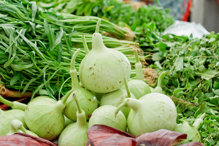 Heap of Bottle Gourd on market.の写真素材