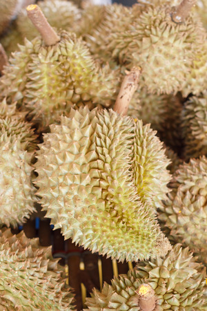 Group of durian in the market.の写真素材