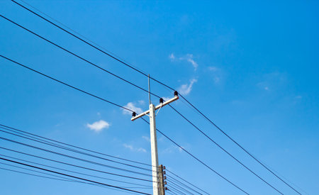 Electric Concrete pole.
