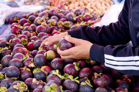 The Customer selecting Mangosteens on market.の写真素材