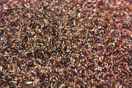 Black glutinous rice (black sticky rice,black rice)の写真素材