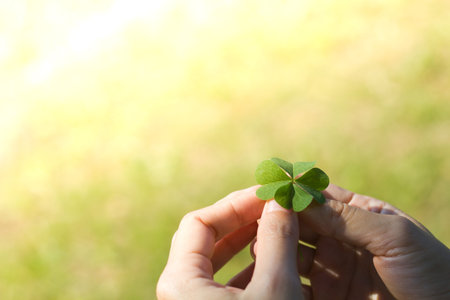 Asian Women's hands holding lucky clover leaf on green grass background.の写真素材
