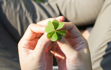 Asian Women's hands holding lucky clover leaf on green grass background.の写真素材