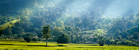 Green fields in valley beautiful landscape of PhuLua Loei, Thailand.の写真素材