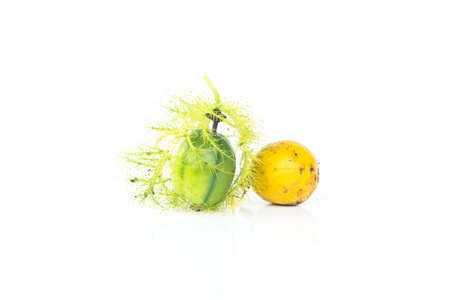 Passion fruit on white background, Isolate passion fruit.の写真素材