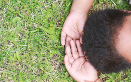 Relaxing on green grass in the summer sun.の写真素材