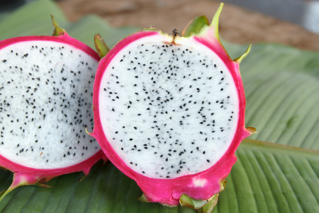 Close up the Dragon Fruit.の写真素材