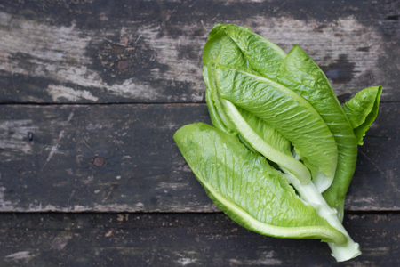 Butter lettuce head  over rustic wooden background.の写真素材