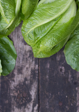 Butter lettuce head  over rustic wooden background.の写真素材