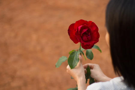 Girl with flower. Beautiful young woman holding red rose.の写真素材