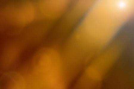 Yellow blurred abstract background.の写真素材