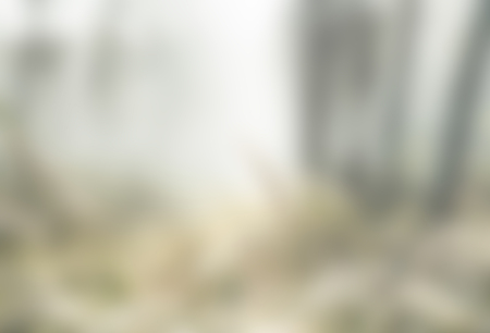 Grey gradient blurred abstract background.の写真素材