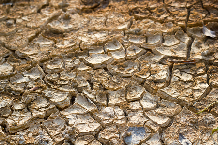Barren ground or cracked soil pattern.の写真素材