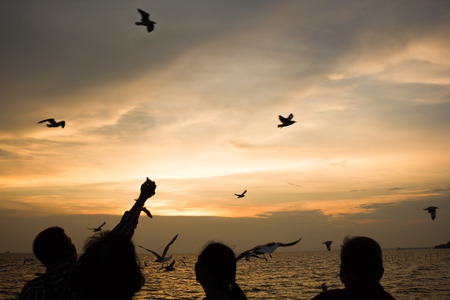 Silhouettes People feed the bird.の写真素材