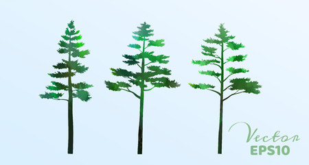 Set of watercolor pine trees . Vector illustration.のイラスト素材