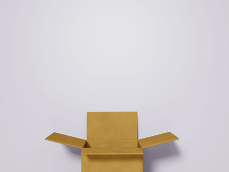 Open cardboard box with copy space isolated on white background. Mockup.